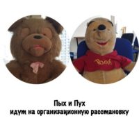 пых и пух идут на организационную расстановку