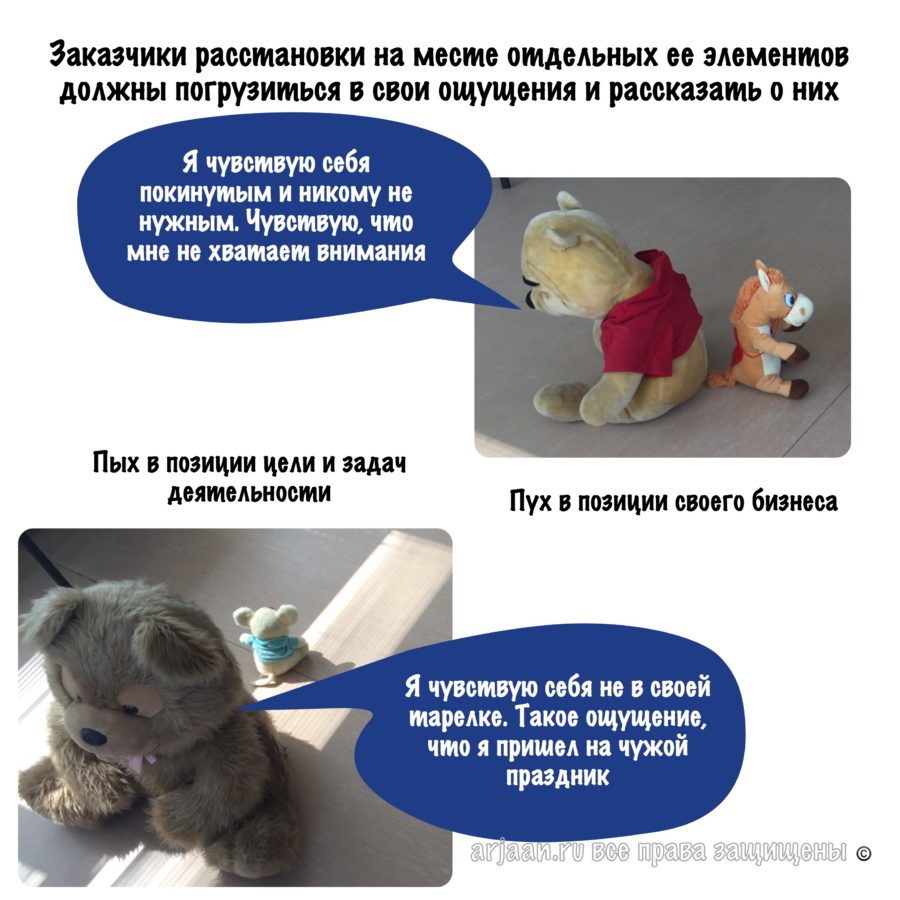 работа заказчика орграсстановки