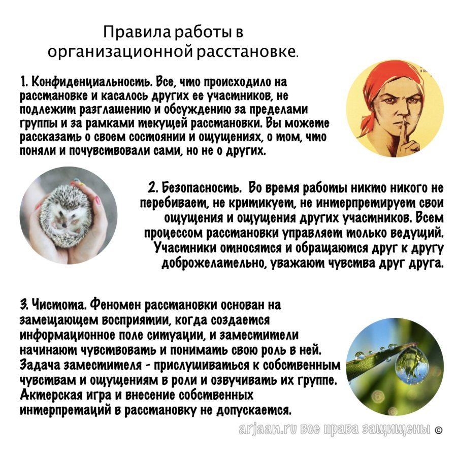 правила работы в организационной расстановке